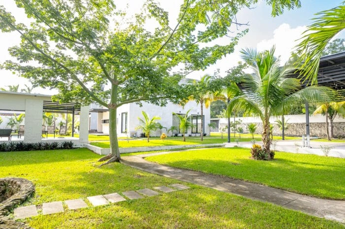 A landscaped garden lawn and covered seating area at Transcend Clinic